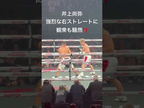 井上尚弥 強烈な右ストレートに観衆も騒然‼️