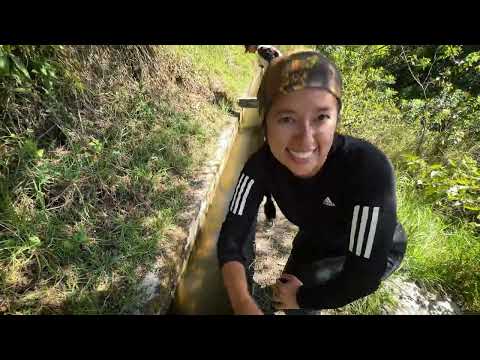 Un día de trabajo en la casita de la Papaya
