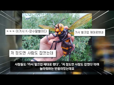 미국 생태계를 초토화 시킨 한국의 K-동식물들