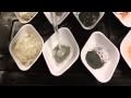 Reactivity of Metals with Acids