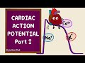 Cardiac Muscle Action Potentials