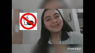 Videos San Francisco de Asis