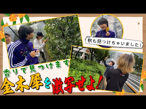 SixTONES【金木犀を激写せよ📷~完結編】街で小さい秋を見つけました🍂