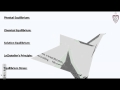 Chemical Kinetics and Equilibrium Concepts