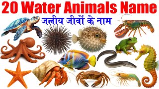 Ocean Animals and Reptiles for Children | Sea Creatures, Snakes, Turtles Learning Video #SeaAnimals