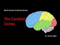 Brain Structure and Function Assessment