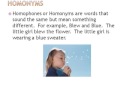Synonyms, Antonyms, and Homophones
