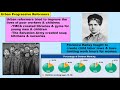Exploring the Progressive Era and Imperialism in U.S. History