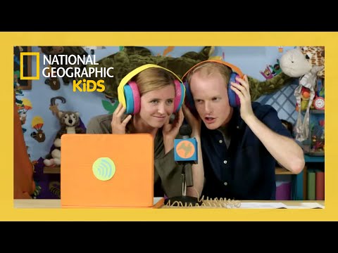 Sounds Good 💥 | Weird But True Full Episode | @natgeokids