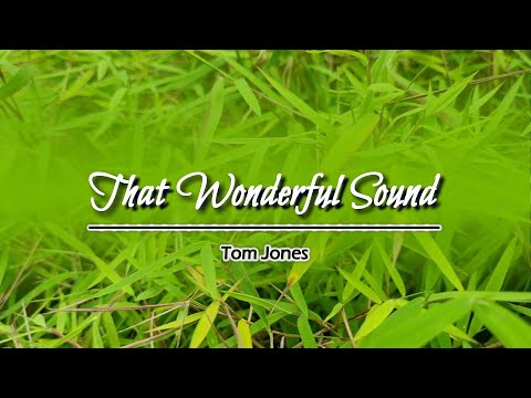 That Wonderful Sound – KARAOKE VERSION – as popularized by Tom Jones