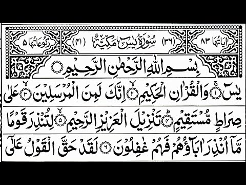 Surah Yaseen | Surah Rahman | Daily Quran Tilawat Surah Yasin Surah Rahman Full With Arabic | Ep 057