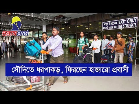 সৌদি আরবে ধরপাকড়, প্রবাসীরা সাবধান | Bangladeshi Worker Back From Saudi Arabia | PBC