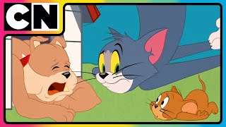 Tom & Jerry 🐭😺| The Chase That Never Sleeps!😍| Cat and The Mouse | Kids Cartoon ✨| @cnindia  ​