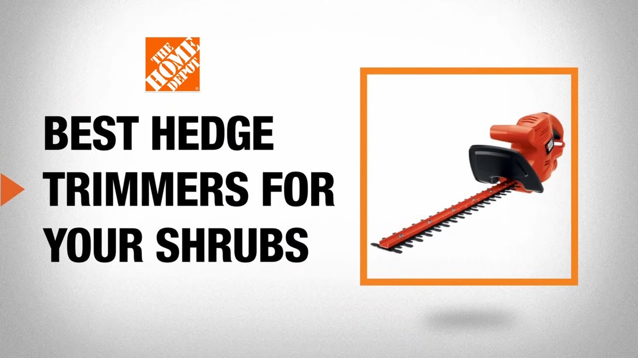 Best Hedge Trimmers for Your Shrubs
