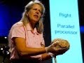 Understanding the Brain and Stroke Recovery