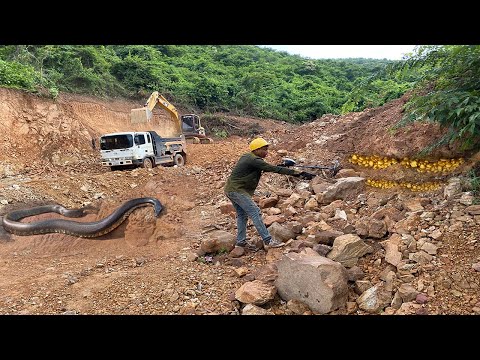 We Found The Great Treasure❗️ Strange Treasure Hunt With a Metal Detector