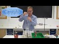 Testing a Leaf for Starch