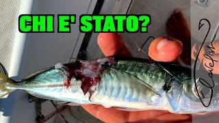 Un PESCE inaspettato !!