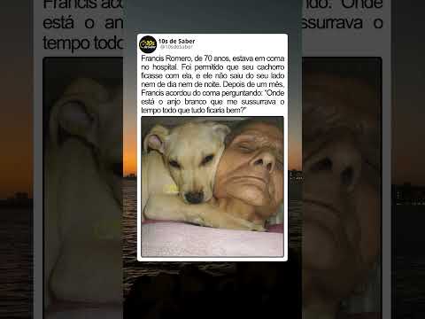 O dia em que ela descobriu quem era seu anjo branco