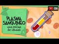 Understanding the Cardiovascular System