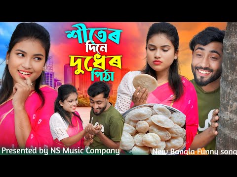 Shiter Diner Duder Pitha | শিতের দিনের দুঁদের পিঠা | Bangla Notun  Gaan | ns music company |