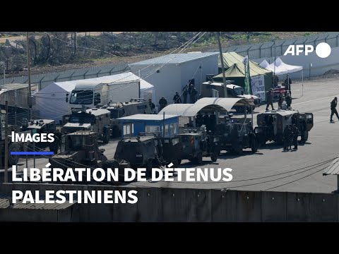 Deux bus de détenus palestiniens libérés quittent la prison israélienne d'Ofer | AFP Images