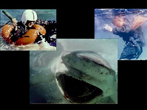 Defending Against Shark Attacks!  U.S.A.F. Training Film - 1964