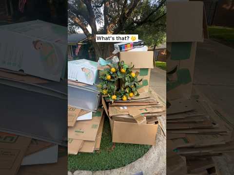 Here’s what rich people throw away on trash day 🤯🤑