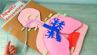 Maqueta del Aparato Respiratorio Fácil y Rápida / Paso a Paso