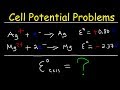 Understanding Cell Potentials in Electrochemical Cells