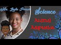 Animal Adaptations and Mimicry