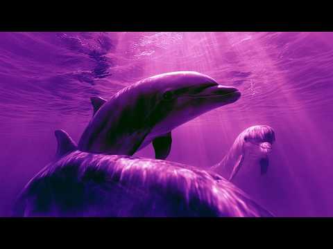 528 Hz Healing Music | Cellular Renewal, Inner Peace & Serenity