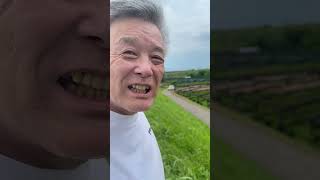動画サムネイル