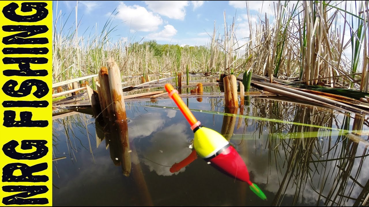 Ловля крупного карася на диком заброшенном водоёме рыбалка на карася
