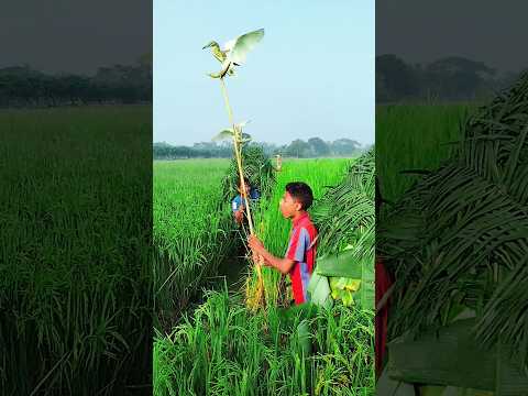 #new# #funny# #trending# #viral# #video# #YouTube# #short #