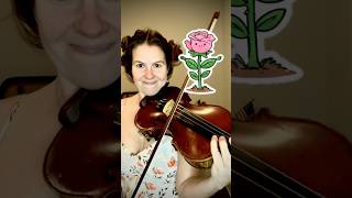 Spring ! #violin #music #violinist #classicalmusic