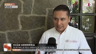 Deforestación en Puebla