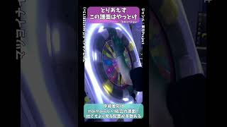 【#maimai 】↑解説付き動画はここから！#maimaiでらっくす #shorts