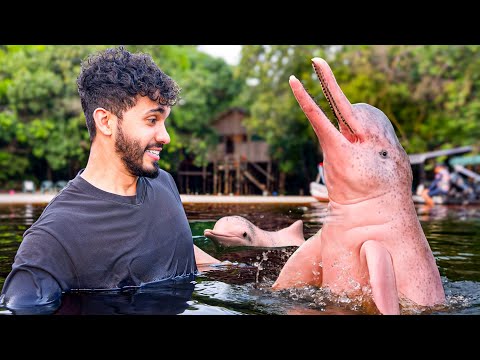 Me mordió un DELFÍN ROSADO en el AMAZONAS
