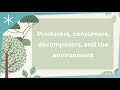Ecosystem Roles and Processes