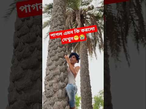 পাগল এমন কি করলো দেখুন😱💔😭#youtubeshorts #trendingshorts #vairal
