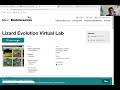Virtual Lab Procedures and Collaboration