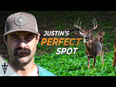 The Perfect Spot For A Giant Buck (Useless Acres To Useful Acres)