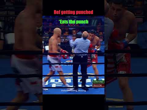 Other Referees vs This Guy