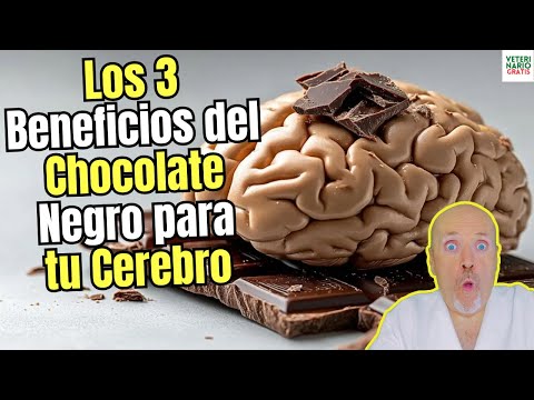 🍫 LOS 3 BENEFICIOS DEL CHOCOLATE NEGRO PARA EL CEREBRO🍫