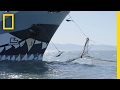 Marine Conservation and Illegal Fishing