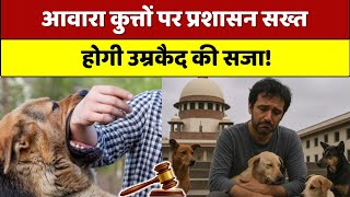 Prayagraj: 10 दिन की जेल के बाद नहीं सुधरे तो अब कुत्तों को भी होगी उम्रकैद की सजा, प्रशासन सख्त!
