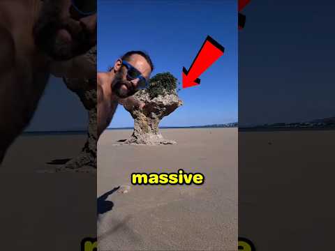 This Is How Quicksand Hides Its Secrets