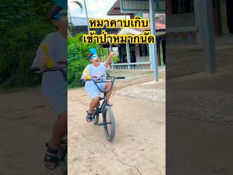 #bike เซิบๆ หมาคาบเกิบ🎶 #ปั้นจักรยาน #cycling #funnyvideo