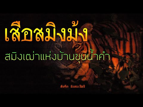 เรื่องลี้ลับ EP84 เสือสมิงม้งขุนน้ำคำ  | เรื่องเล่าจากดงดอย